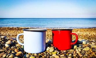 close up of light blue and red cups on the rocks in the beach with calm sea in the background.