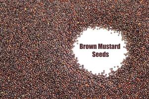 Semillas de mostaza marrón india como textura de fondo foto