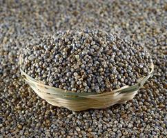 Pearl millet in wooden bamboo basket photo