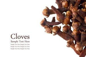 Cloves isolated on white background photo