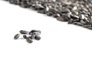 Sunflower Seeds on white background. Helianthus annuus. photo