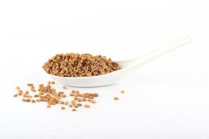 fenugreek seeds in spoon isolated on white background photo
