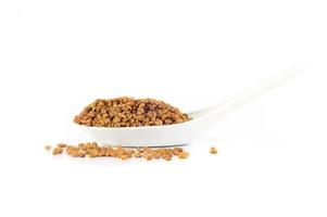 fenugreek seeds in spoon isolated on white background photo