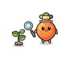 cute carrot herbalist researching a plants vector