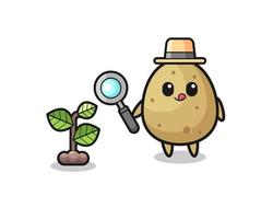 cute potato herbalist researching a plants vector