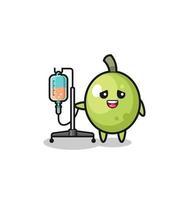 cute olive character standing with infusion pole vector