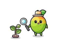 cute mango herbalist researching a plants vector