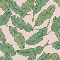 Banana leaves, jungle leaves seamless floral pattern background vector