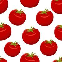 Seamless pattern with red tomatoes vector