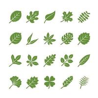 Set of Leaves Icons Glyph vector