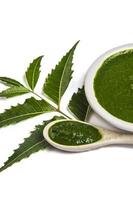 Medicinal Neem leaves with neem paste in spoon and plate on white background Azadirachta indica photo
