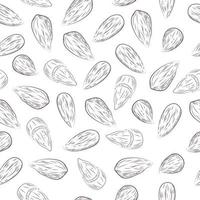 Almond seamless pattern vector