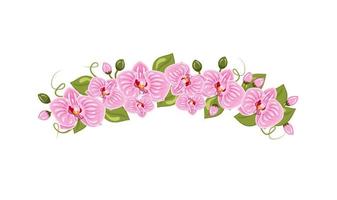 Vector illustration of orchid flowers diadem in cartoon style isolated on white background.