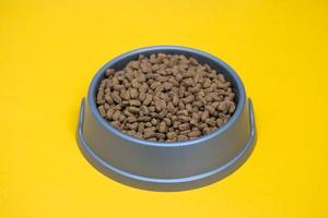 Gray plastic bowl full of with dry animal feed on the yellow background. Copy, empty space for text photo