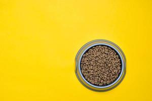 Gray plastic bowl full of with dry animal feed on the yellow background. Top view. Copy, empty space for text photo