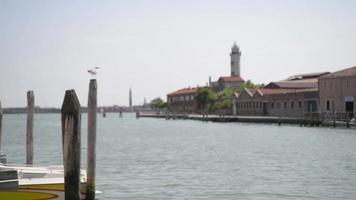 Venice streets and canals. Ships are sailing on the water in Summer video