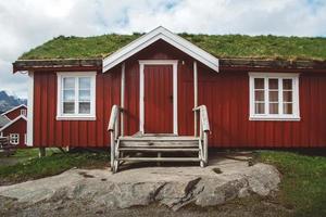 Norway rorbu houses red and with moss on the roof landscape scandinavian travel view Lofoten islands. Natural scandinavian landscape photo