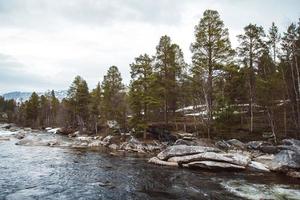 Mountain river on background of rocks and forest. Forest river water landscape. Wild river in mountain forrest panorama. Place for text or advertising photo