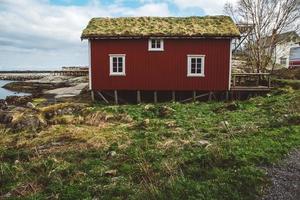 Norway rorbu houses red and with moss on the roof landscape scandinavian travel view Lofoten islands. Natural scandinavian landscape photo