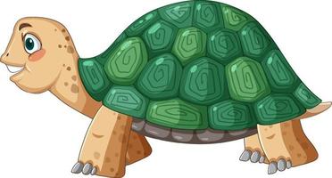 Side view of turtle with green shell in cartoon style vector