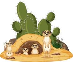 Isolated nature scene with meerkat family vector