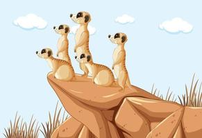 Desert background with a group of meerkats vector