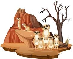 Isolated nature scene with meerkat family vector