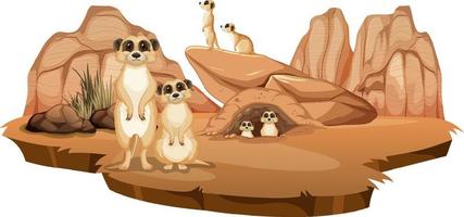 Escena de la naturaleza aislada con la familia suricata vector