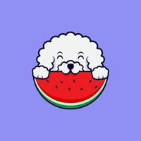 Cute Bichon Frise Dog Eating Watermelon Cartoon Icon Illustration vector