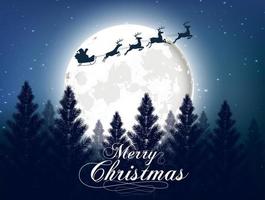 Christmas forest background vector