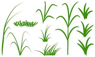 vector green grass isolated on white background