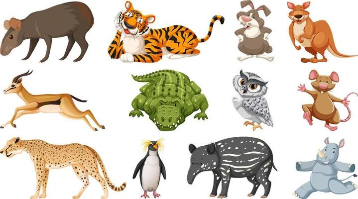 Set of different wild animals cartoon characters