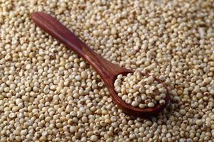 close up of Sorghum with wooden spoon. photo