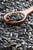 Sunflower Seeds, Helianthus annuus with Wooden Spoon photo