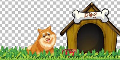 Pomeranian dog with dog house on grid background
