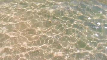 turchese acqua limpida spiaggia messicana 88 playa del carmen messico. video