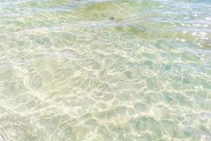 Turquoise clear water mexican beach 88 Playa del Carmen Mexico. photo