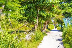 Natural tropical mexican beach 88 entrance Playa del Carmen Mexico. photo