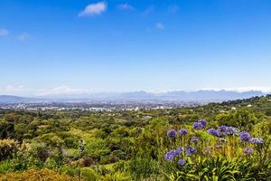 Panoramic view of Cape Town and nature, Kirstenbosch. photo