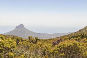 View from Table Mountain on Lion's Head Cape Town.