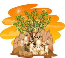 Isolated nature scene with meerkat family vector