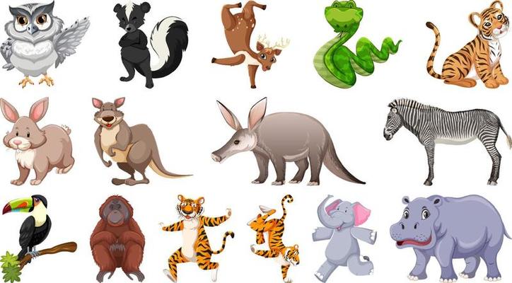 Set of different wild animals cartoon characters