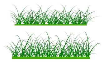 vector pasto verde aislado sobre fondo blanco