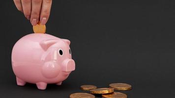 person putting pink piggy bank coins photo