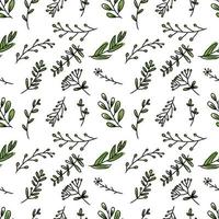 hand drawing seamless pattern botanical greenery leaves vector