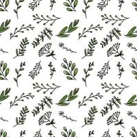 hand drawing seamless pattern botanical greenery leaves vector