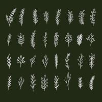 set collection of hand drawn botanical greenery leaves vector
