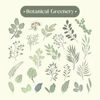 set collection of hand drawing botanical greenery vector