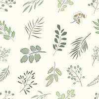 hand drawing seamless pattern botanical greenery vector