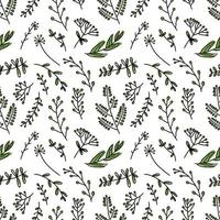 hand drawing seamless pattern botanical greenery leaves vector